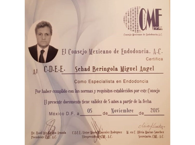 certificacio endodocia 750x558 1