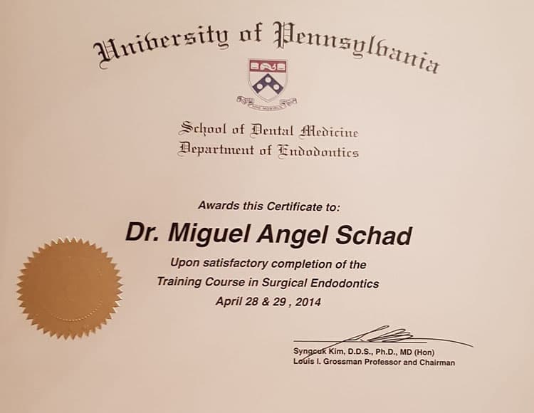 titulo dr miguel angel schad beringola